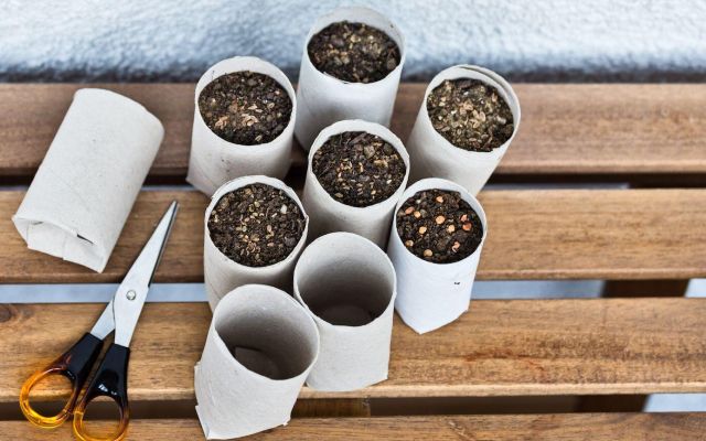 DIY - Du papier toilette pour mes semis !
